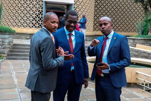 MPs divided over Azimio demos