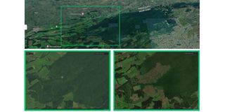 Google map of Western Mau Forest