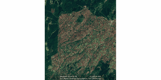 Mau Forest Kedowa section.