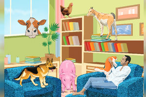 Zootonic diseases 