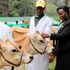 A woman admires a Jersey cow. 