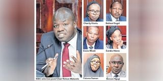 IEBC Selection Panel