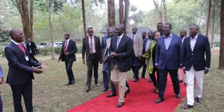 Ruto Mt Kenya Tour