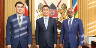 Amason Kingi