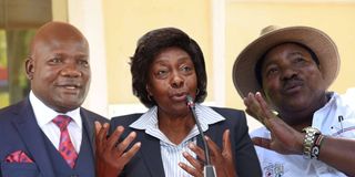 Barasa, Ngilu, Waititu
