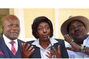 Barasa, Ngilu, Waititu