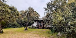 A view of Malu Lodge near Naivasha.