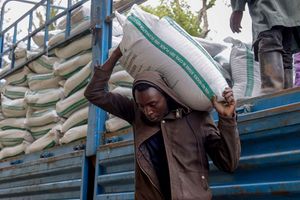 subsidised fertiliser 