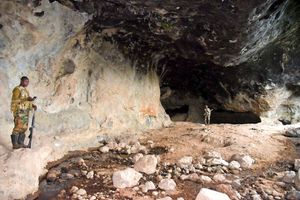 elephant maternity caves