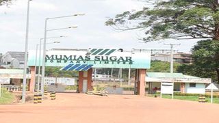 Mumias Sugar Company