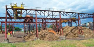Cane yard at Muhoroni Sugar Company. 