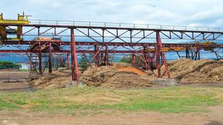 Cane yard at Muhoroni Sugar Company. 