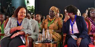 Africa Climate Summit held at the KICC