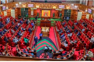 Parliament Sitting