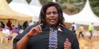 Embakasi Ranching Company Limited chair Phideli Wangari