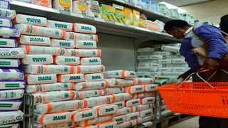 Maize flour