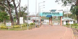 Mumias Sugar Company