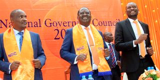 ODM leadership