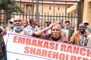Land grabbing