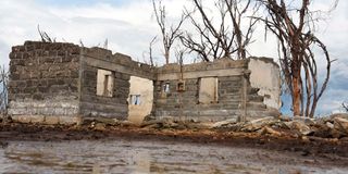 lake nakuru