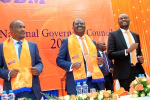 ODM leadership