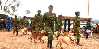 Police officers leave nothing to chance as they patrol the Kericho Green Stadium