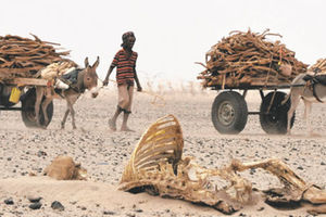 carcasses of livestock in Athibohol