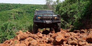 Rhino Charge