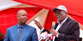 Mark Mwenje and Jubilee Party Vice Chair David Murathe