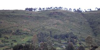 New Content Item (1)