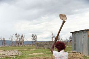 New Content Item (1)