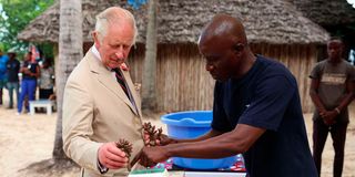 King Charles III mombasa beach