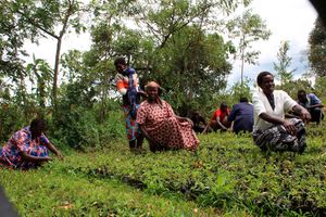 New Content Item (1)