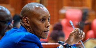 Committee on Defence, Intelligence and Foreign Relations Chairperson Nelson Koec