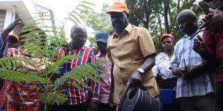 Raila