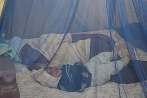 Mosquito Nets