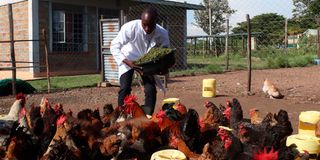 Poultry farmer