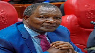 Treasury Cabinet Secretary Njuguna Ndung’u 