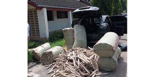 Bhang
