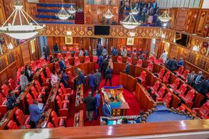 Senators during a special sitting