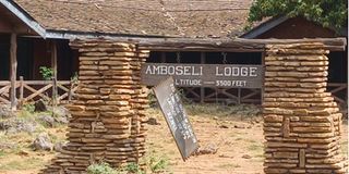 Amboseli Lodge 
