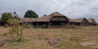  Amboseli Lodge