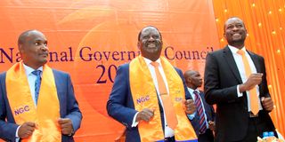 ODM leadership