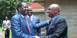 Raila Odinga and Gideon Moi