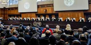 International Court of Justice