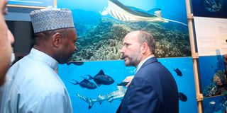 Prince Hussain Aga Khan 