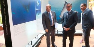 Prince Hussain Aga Khan