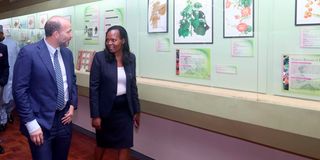 Prince Hussain Aga Khan