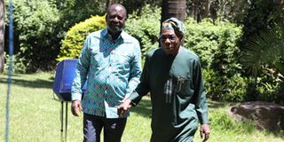 Raila Odinga and Olusegun Obasanjo