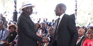 William Ruto and Raila Odinga